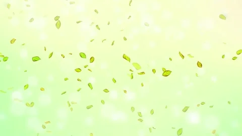 Loop Spring background, 4K spring background with green leaves and bokeh Stock Footage 277791503