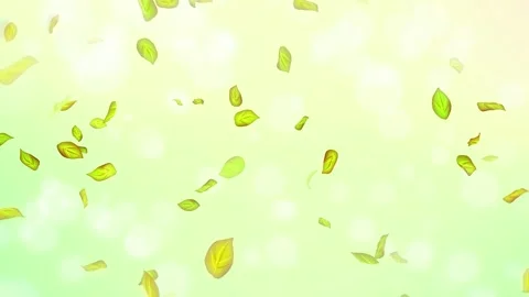 Loop Spring background, 4K spring background with green leaves and bokeh Stock Footage 277791567