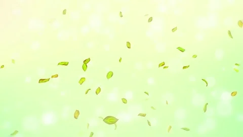 Loop Spring background, 4K spring background with green leaves and bokeh Stock Footage 277792161