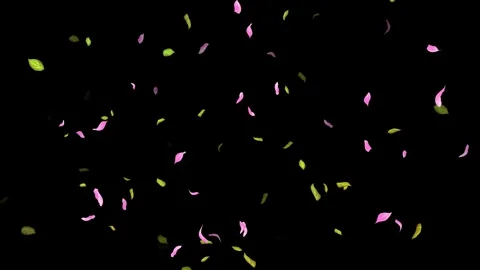 Loop Spring background, Leaves, Petals Falling on Black, white, blue Background Stock Footage 277774463