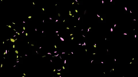 Loop Spring background, Leaves, Petals Falling on Black, white, blue Background Stock Footage 277774512