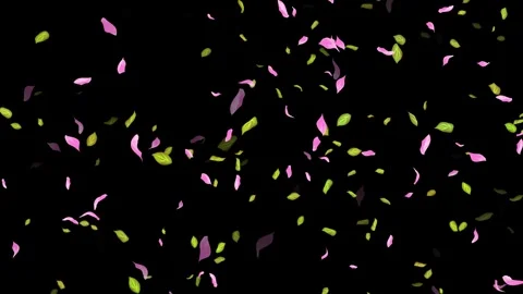Loop Spring background, Leaves, Petals Falling on Black, white, blue Background Stock Footage 277774759