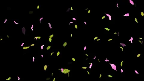 Loop Spring background, Leaves, Petals Falling on Black, white, blue Background Stock Footage 277774793