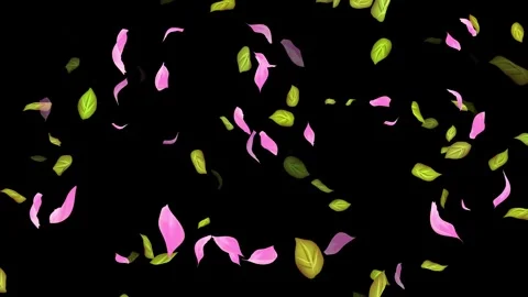 Loop Spring background, Leaves, Petals Falling on Black, white, blue Background Stock Footage 277774817
