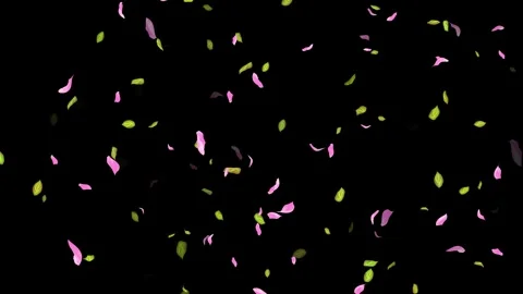 Loop Spring background, Leaves, Petals Falling on Black, white, blue Background Stock Footage 277774855