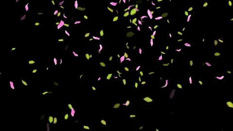 Loop Spring background, Leaves, Petals Falling on Black, white, blue Background Stock Footage 277775084