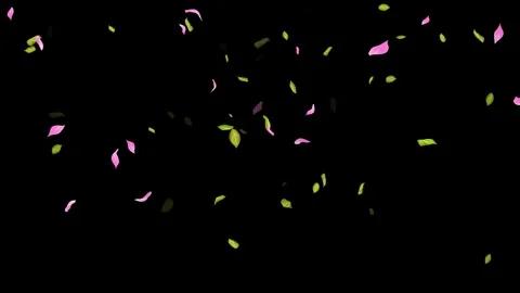 Loop Spring background, Leaves, Petals Falling on Black, white, blue Background Stock Footage 277775098