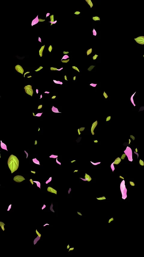 Loop Spring background, Leaves, Petals Falling on Black, white, blue Background Stock Footage 277775722