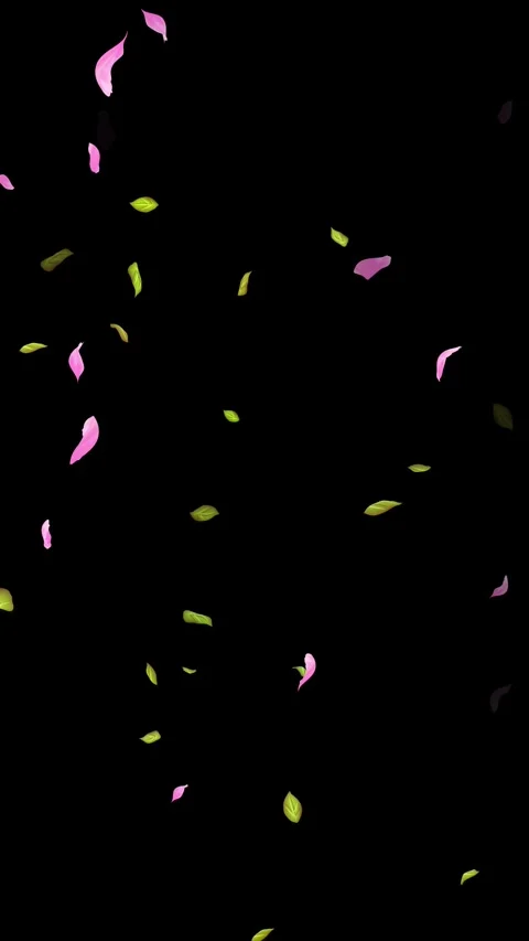 Loop Spring background, Leaves, Petals Falling on Black, white, blue Background Stock Footage 277775733
