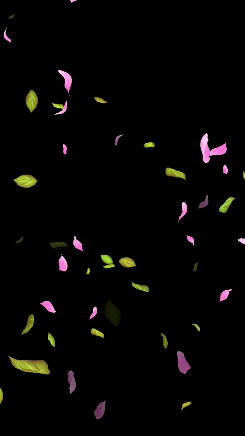 Loop Spring background, Leaves, Petals Falling on Black, white, blue Background Stock Footage 277775744