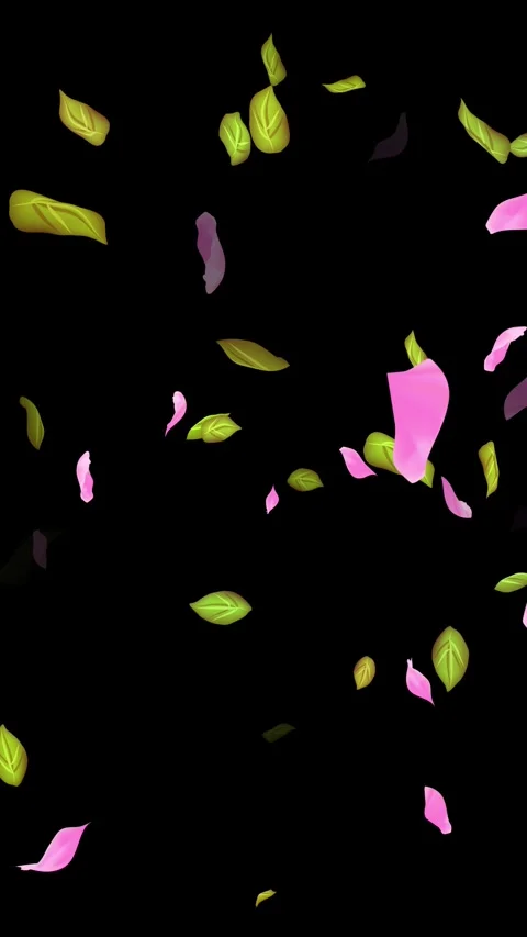 Loop Spring background, Leaves, Petals Falling on Black, white, blue Background Stock Footage 277775763