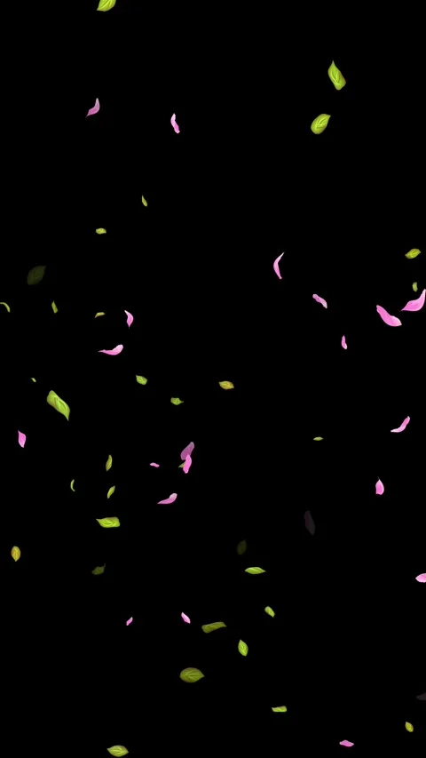 Loop Spring background, Leaves, Petals Falling on Black, white, blue Background Stock Footage 277775771
