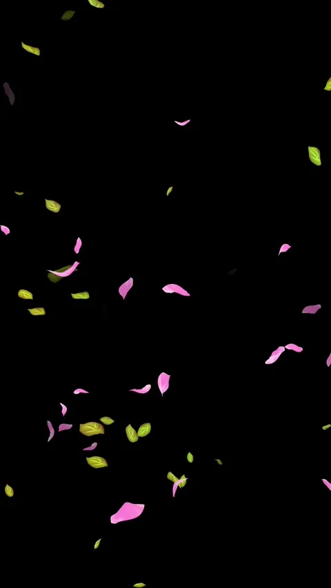 Loop Spring background, Leaves, Petals Falling on Black, white, blue Background Stock Footage 277775787