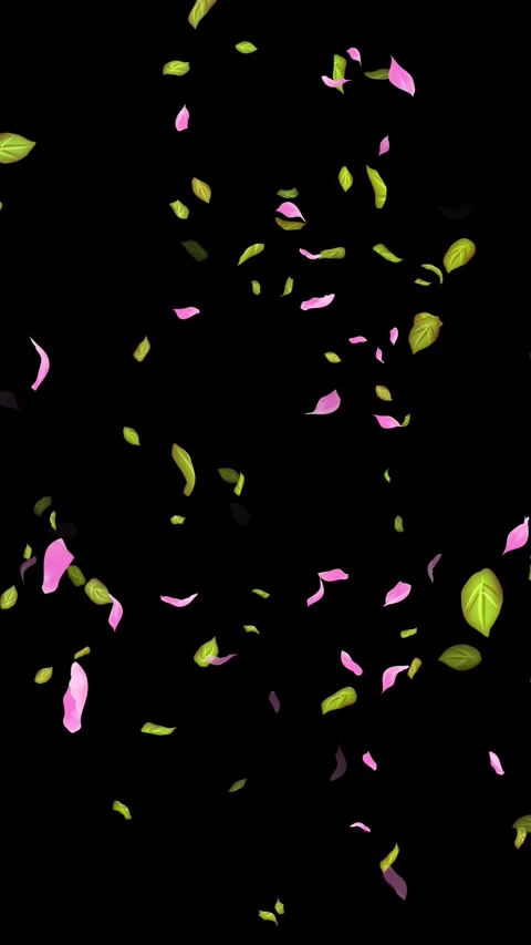 Loop Spring background, Leaves, Petals Falling on Black, white, blue Background Stock Footage 277775950