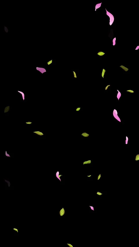 Loop Spring background, Leaves, Petals Falling on Black, white, blue Background Stock Footage 277775964