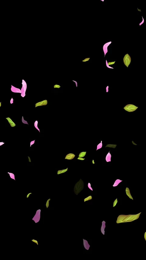 Loop Spring background, Leaves, Petals Falling on Black, white, blue Background Stock Footage 277775979