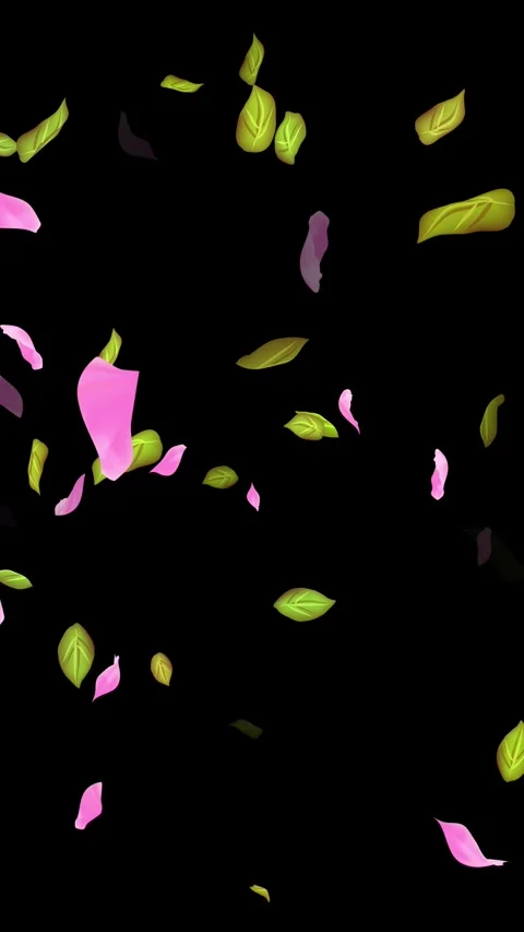 Loop Spring background, Leaves, Petals Falling on Black, white, blue Background Stock Footage 277775991