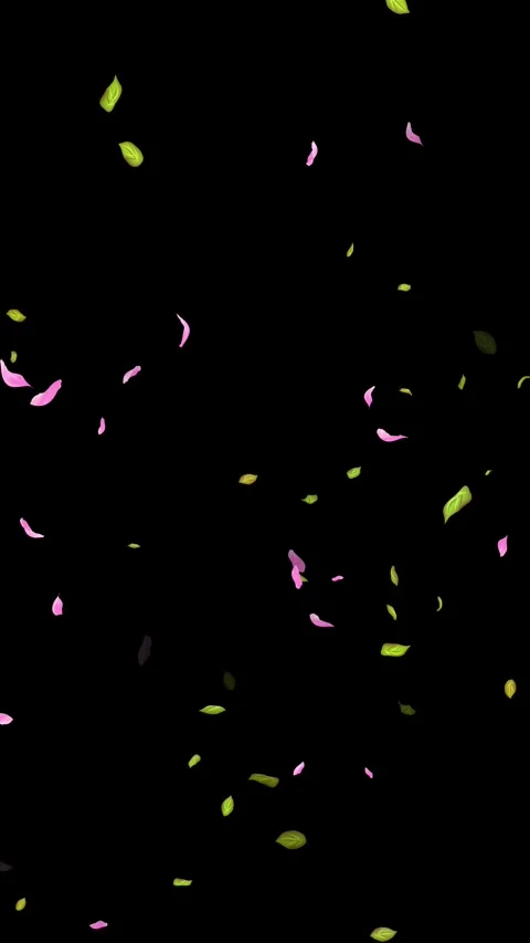 Loop Spring background, Leaves, Petals Falling on Black, white, blue Background Stock Footage 277776001