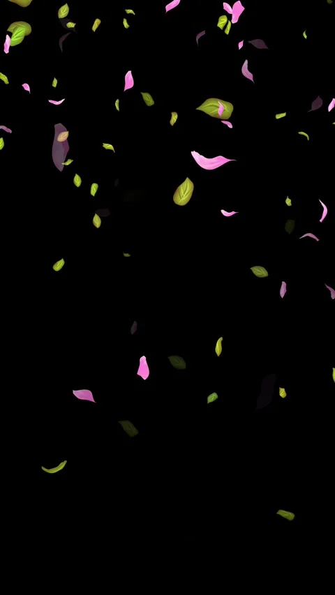Loop Spring background, Leaves, Petals Falling on Black, white, blue Background Stock Footage 277776132