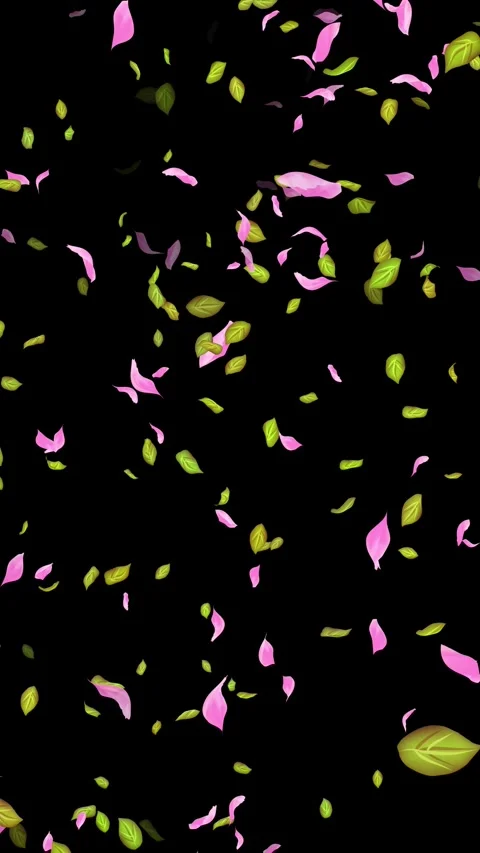 Loop Spring background, Leaves, Petals Falling on Black, white, blue Background 스톡 동영상 277776149