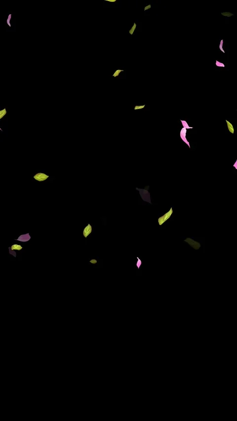 Loop Spring background, Leaves, Petals Falling on Black, white, blue Background Stock Footage 277776157