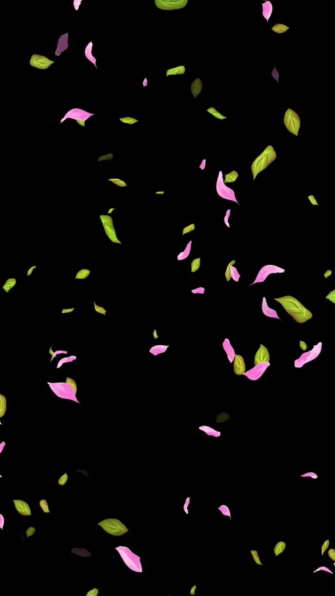 Loop Spring background, Leaves, Petals Falling on Black, white, blue Background Stock Footage 277776169