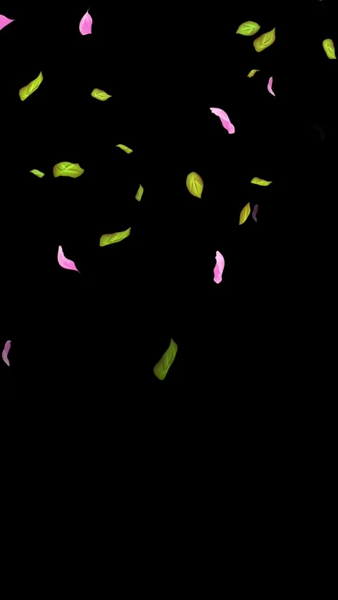 Loop Spring background, Leaves, Petals Falling on Black, white, blue Background Stock Footage 277776175