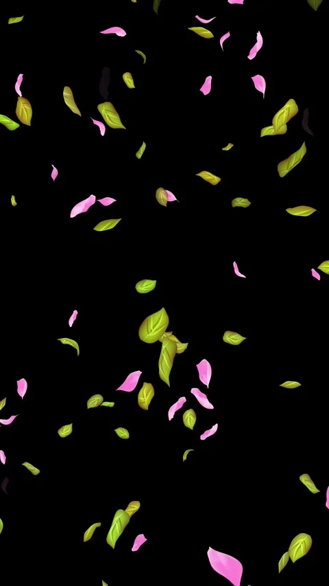 Loop Spring background, Leaves, Petals Falling on Black, white, blue Background Stock Footage 277776193