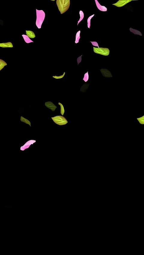 Loop Spring background, Leaves, Petals Falling on Black, white, blue Background Stock Footage 277776201