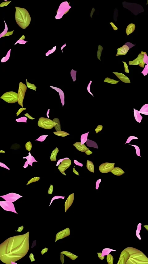 Loop Spring background, Leaves, Petals Falling on Black, white, blue Background Stock Footage 277776223