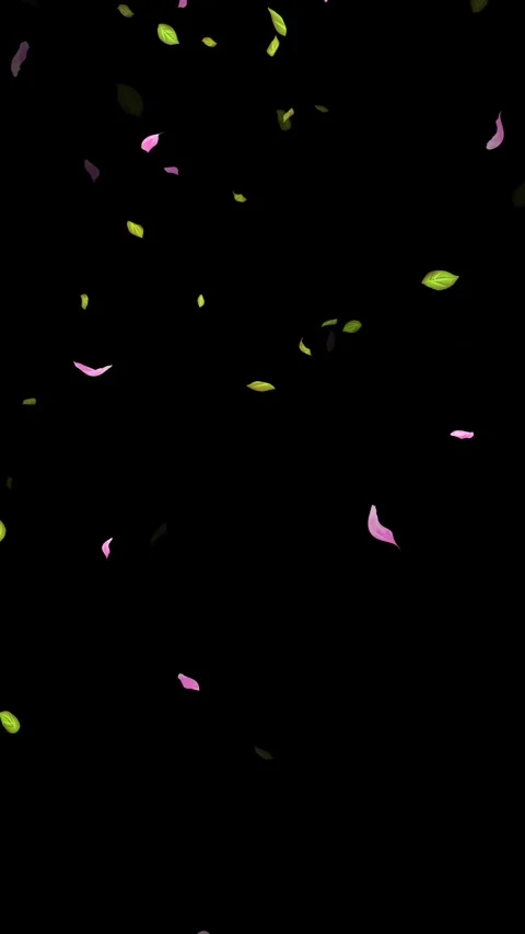 Loop Spring background, Leaves, Petals Falling on Black, white, blue Background Stock Footage 277776239