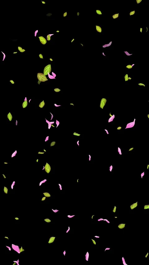 Loop Spring background, Leaves, Petals Falling on Black, white, blue Background Stock Footage 277776254