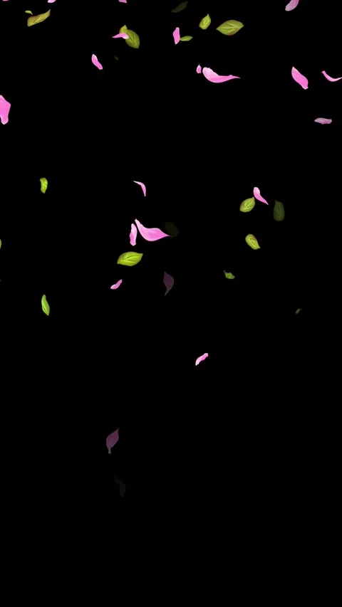 Loop Spring background, Leaves, Petals Falling on Black, white, blue Background Stock Footage 277776262