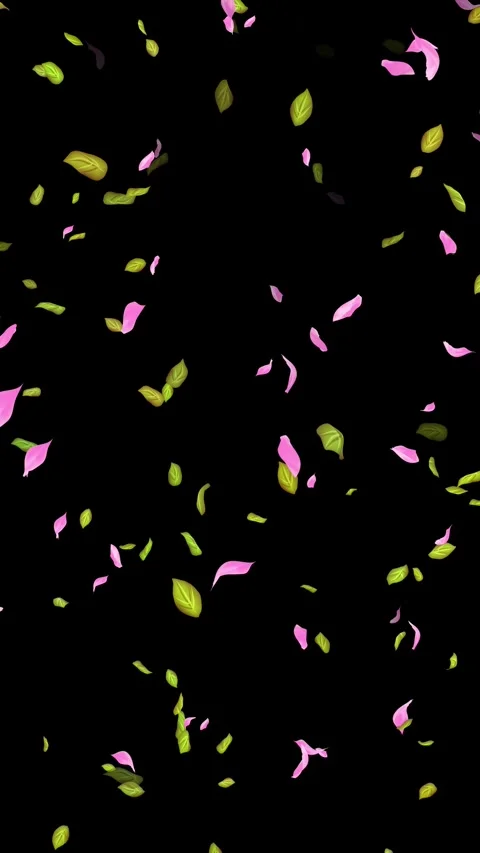 Loop Spring background, Leaves, Petals Falling on Black, white, blue Background Stock Footage 277776277