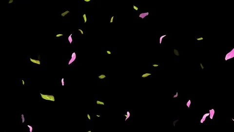 Loop Spring background, Leaves, Petals Falling on Black, white, blue Background Stock Footage 277789852