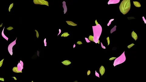 Loop Spring background, Leaves, Petals Falling on Black, white, blue Background Stock Footage 277789871