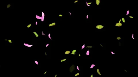 Loop Spring background, Leaves, Petals Falling on Black, white, blue Background Stock Footage 277790064