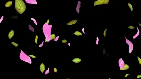 Loop Spring background, Leaves, Petals Falling on Black, white, blue Background Stock Footage 277790082