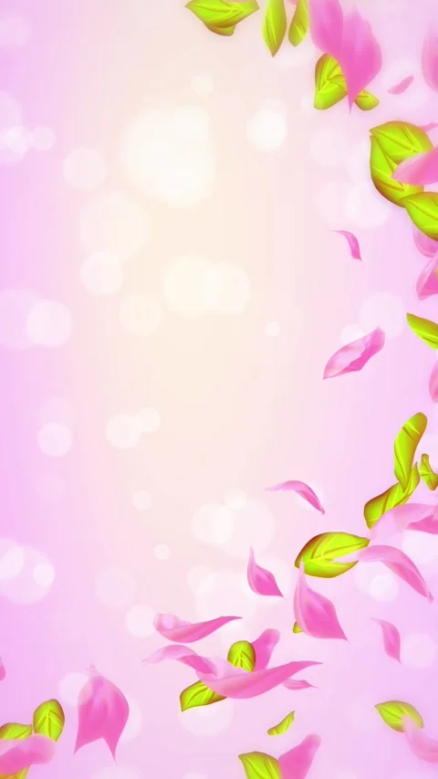 Loop Spring cherry blossom petals and leaves, nature gradient design element Stock Footage 277790290