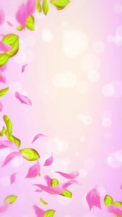 Loop Spring cherry blossom petals and leaves, nature gradient design element Stock-Footage 277790300