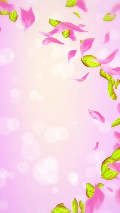 Loop Spring cherry blossom petals and leaves, nature gradient design element Stock-Footage 277790324