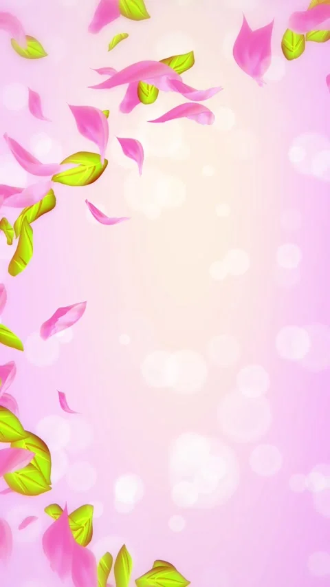 Loop Spring cherry blossom petals and leaves, nature gradient design element Stock Footage 277790333