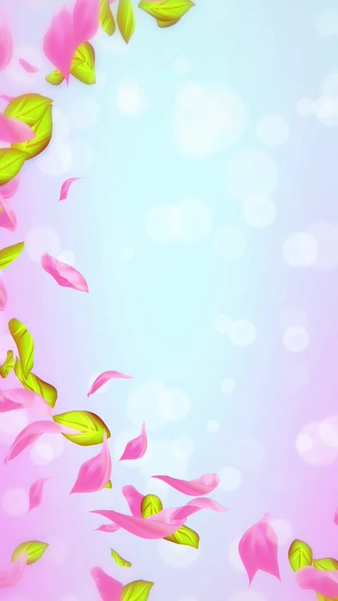 Loop Spring cherry blossom petals and leaves, nature gradient design element Stock-Footage 277790373