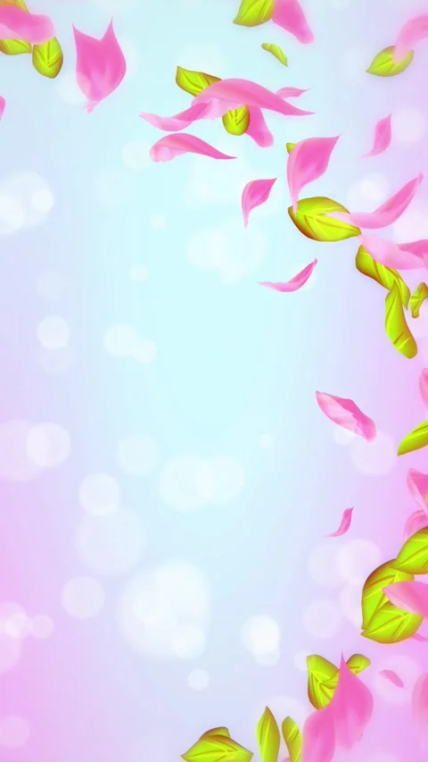 Loop Spring cherry blossom petals and leaves, nature gradient design element Stock Footage 277790397