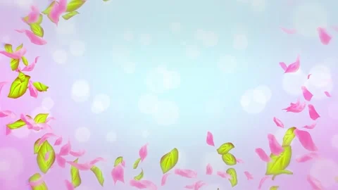 Loop Spring cherry blossom petals and leaves, nature gradient design element Stock Footage 277790454