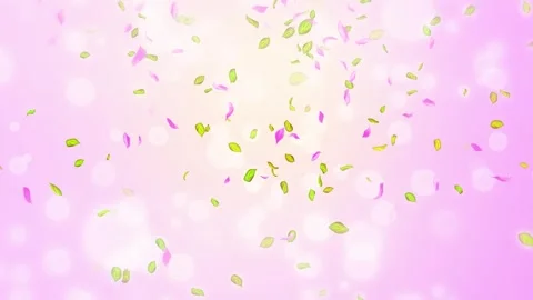 Loop Spring cherry blossom petals and leaves, nature gradient design element Stock Footage 277790460