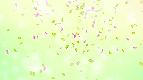 Loop Spring cherry blossom petals and leaves, nature gradient design element Stock Footage 277790471