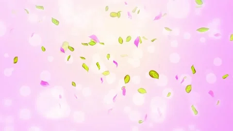 Loop Spring cherry blossom petals and leaves, nature gradient design element Stock Footage 277790473