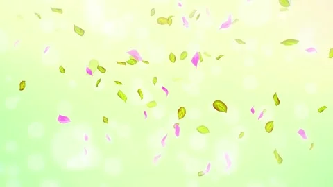 Loop Spring cherry blossom petals and leaves, nature gradient design element Stock Footage 277790480