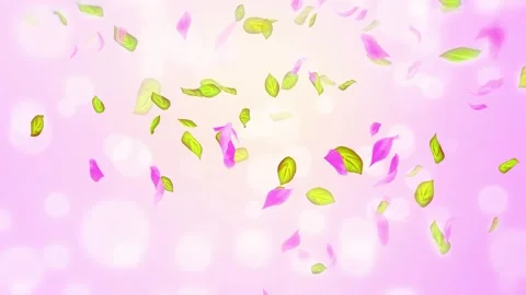 Loop Spring cherry blossom petals and leaves, nature gradient design element Stock Footage 277790486